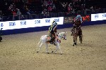 Quadrille - 00198